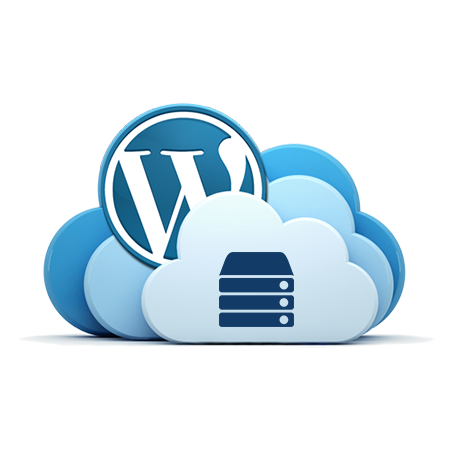 NVMe SSD high speed WordPress hosting